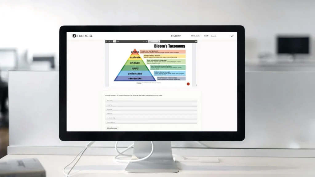 Computer Screen with Erudical